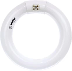 Light Bulb - Magnifying Lamp