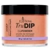 EZ TruDIP Dipping Powder Last Night - 2 Oz -Chic Beauty Shop 66829 144 AboutLastNight HR 57910.1615440173.220.290 71332.1629325470