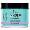 EZ TruDIP Dipping Powder Frequent Flyer - 2 Oz 67363 2 EZ TruDIP Dipping Powder Frequent Flyer - 2 Oz 67363 -Chic Beauty Shop 67363 FrequentFlyer 97328 23366.1631567582