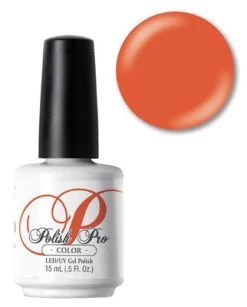 NSI Polish Pro Wear It Proud - .5oz (15 ML)
