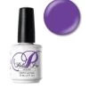 NSI Polish Pro Enchanted - 15 ML (.5 Fl. Oz.) -Chic Beauty Shop N0354 ebay 28249 58623 57004 51781 88130 37774 64977.1629302199