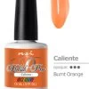 NSI Polish Pro Caliente - 15 ML / .5 Fl. Oz -Chic Beauty Shop N0606 600 69081 08587 84714.1629304697