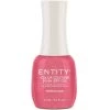 Entity Color Couture Soak Off Gel MODELESQUE - 15 ML / .5 Fl Oz -Chic Beauty Shop g5101253 31181 48403 84750 34395.1629303433