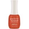 Entity Color Couture Soak Off Gel BOUQUET OF GERBERA DAISIES - 15 ML / .5 Fl Oz -Chic Beauty Shop g5101686 41729 05851 04433 85295.1629303443