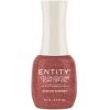 Entity Color Couture Soak Off Gel STRUT IN SHIMMER - 15 ML / .5 Fl Oz -Chic Beauty Shop g5101896 34216 65148 43202 59509.1629303429
