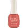 Entity Color Couture Soak Off Gel PRETTY IN PEPLUM - 15 ML / .5 Fl Oz -Chic Beauty Shop g5101900 42274 63858 94000 89902.1629303428