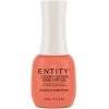 Entity Color Couture Soak Off Gel EXCESS IS EVERYTHING - 15 ML / .5 Fl Oz 2 Entity Color Couture Soak Off Gel EXCESS IS EVERYTHING - 15 ML / .5 Fl Oz -Chic Beauty Shop g5101912 81260 12013 94599 56933.1629303427